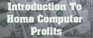 INTRODUCTIONS TO HOME COMPUTER PROFITS